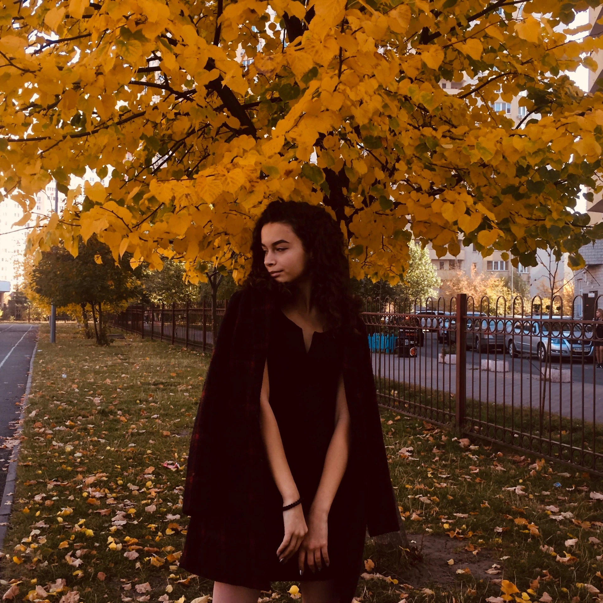 Common photo 6