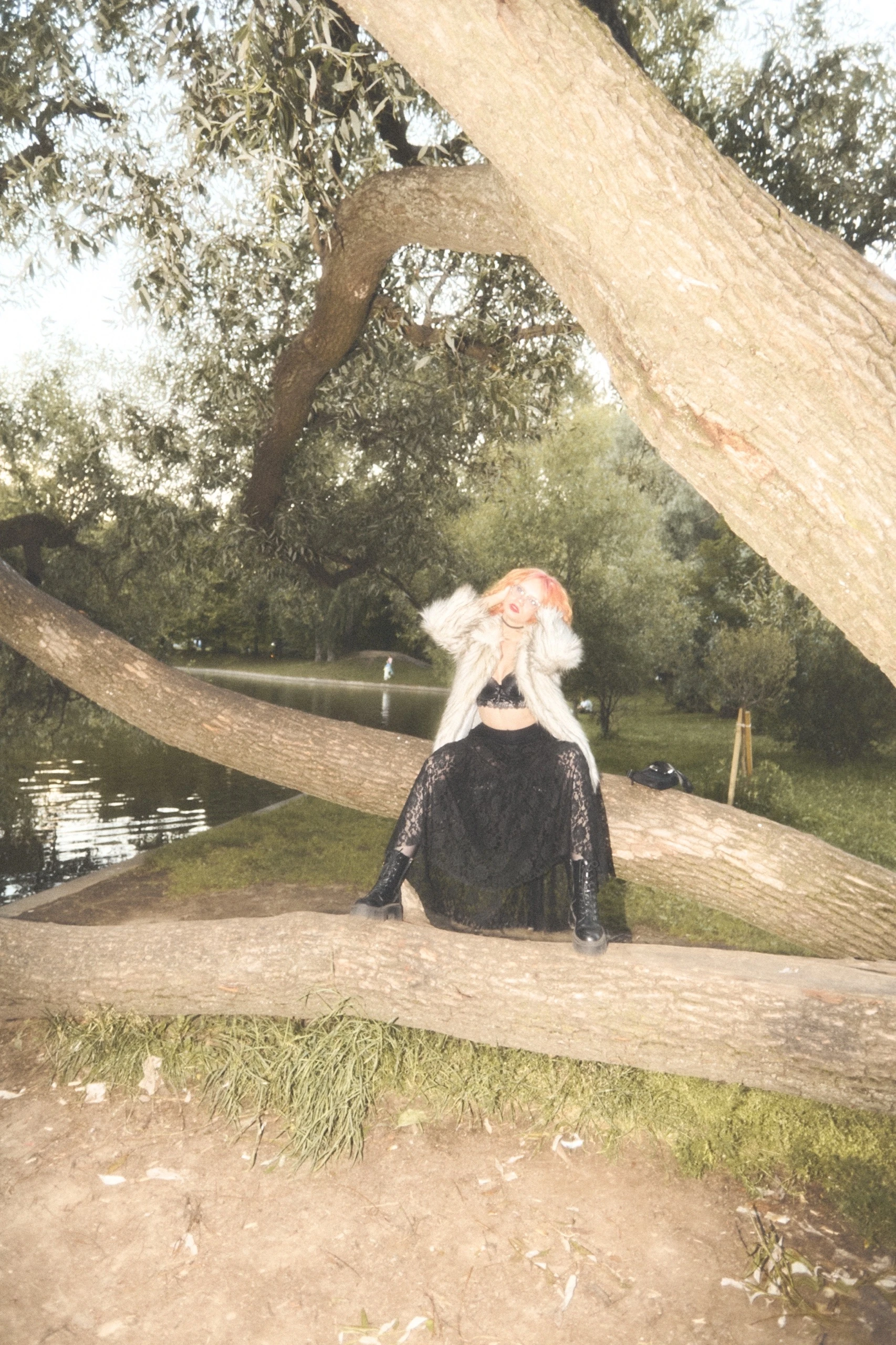 Common photo 7