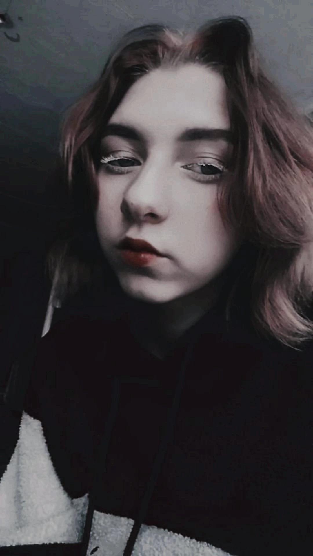 Common photo 4