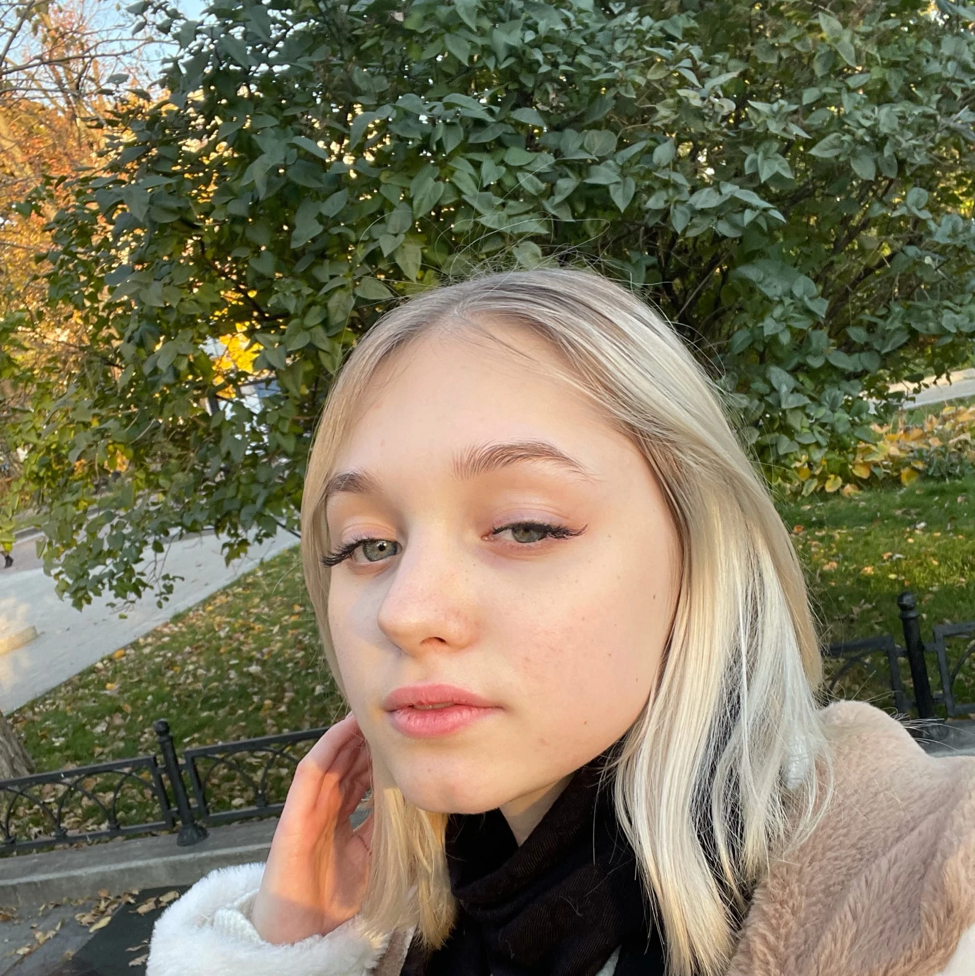 Common photo 18