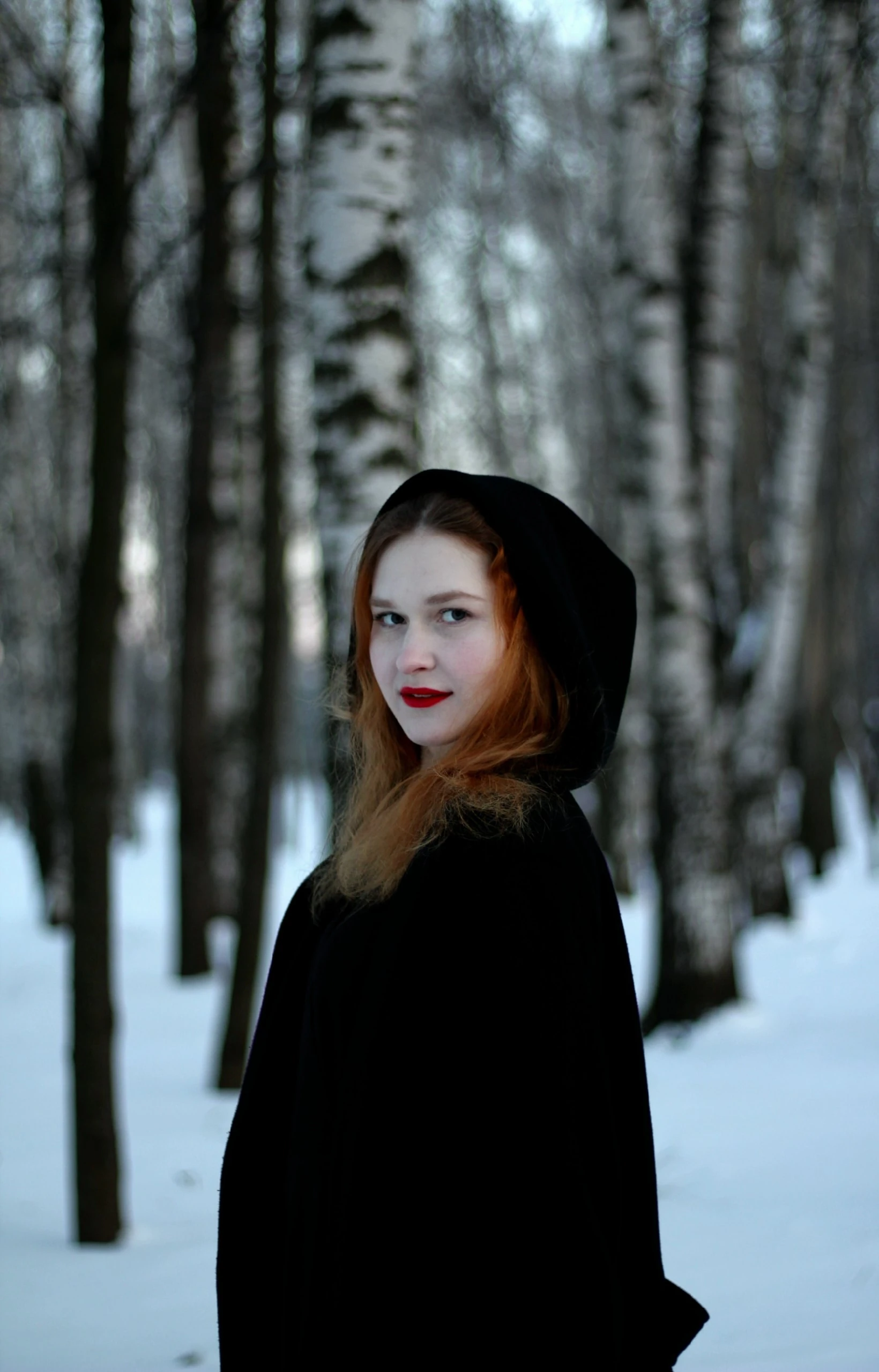 Common photo 16