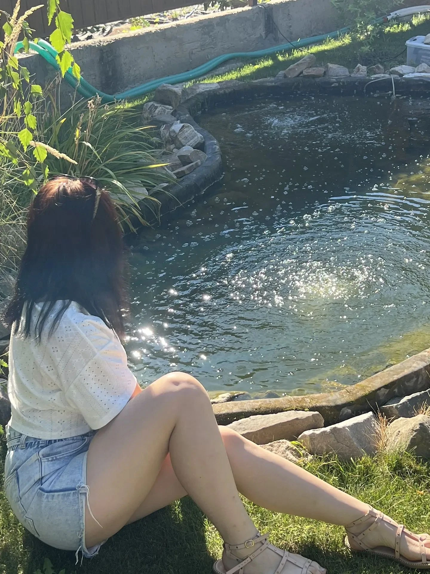 Common photo 8