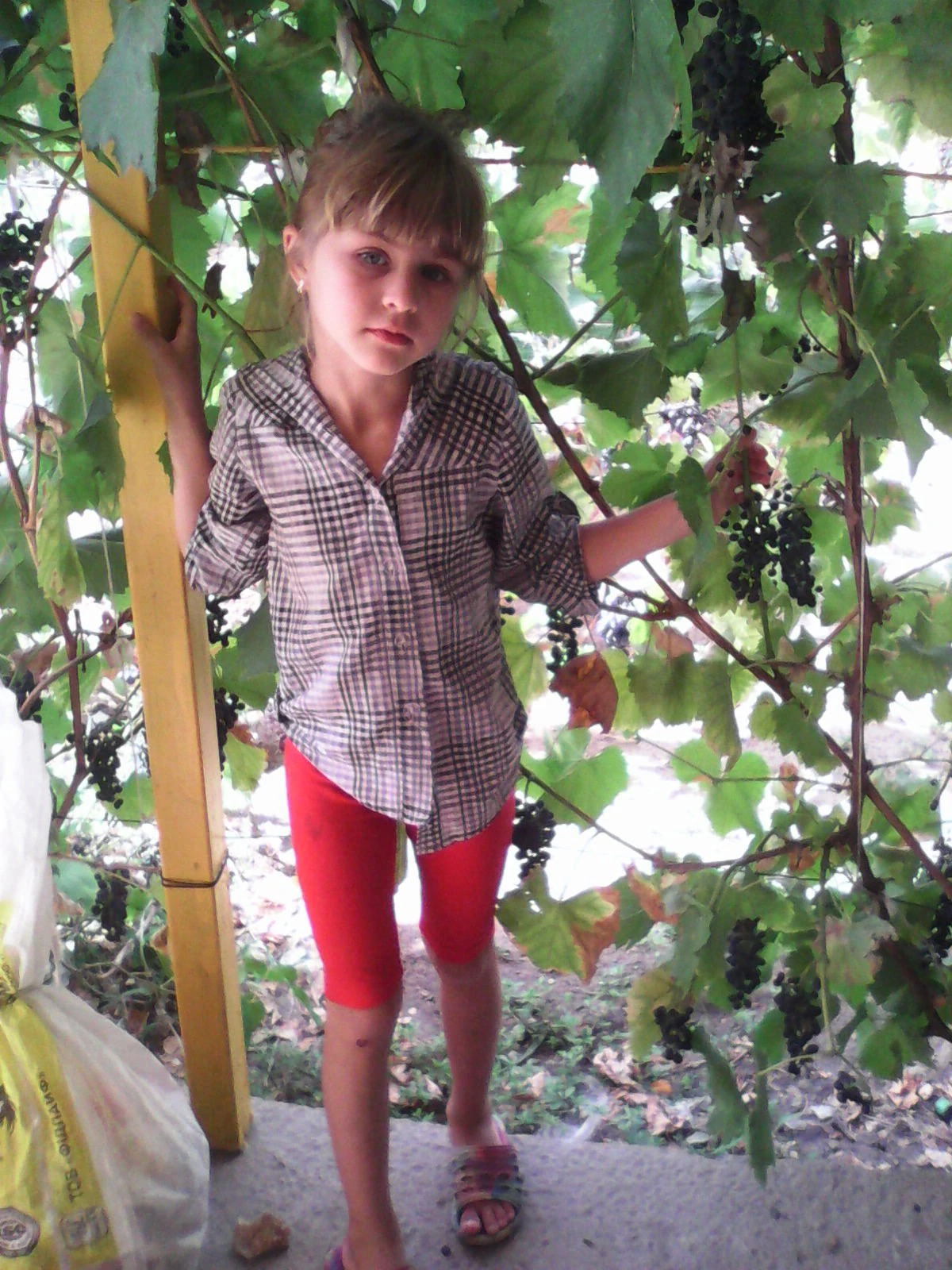 Childhood photo 12