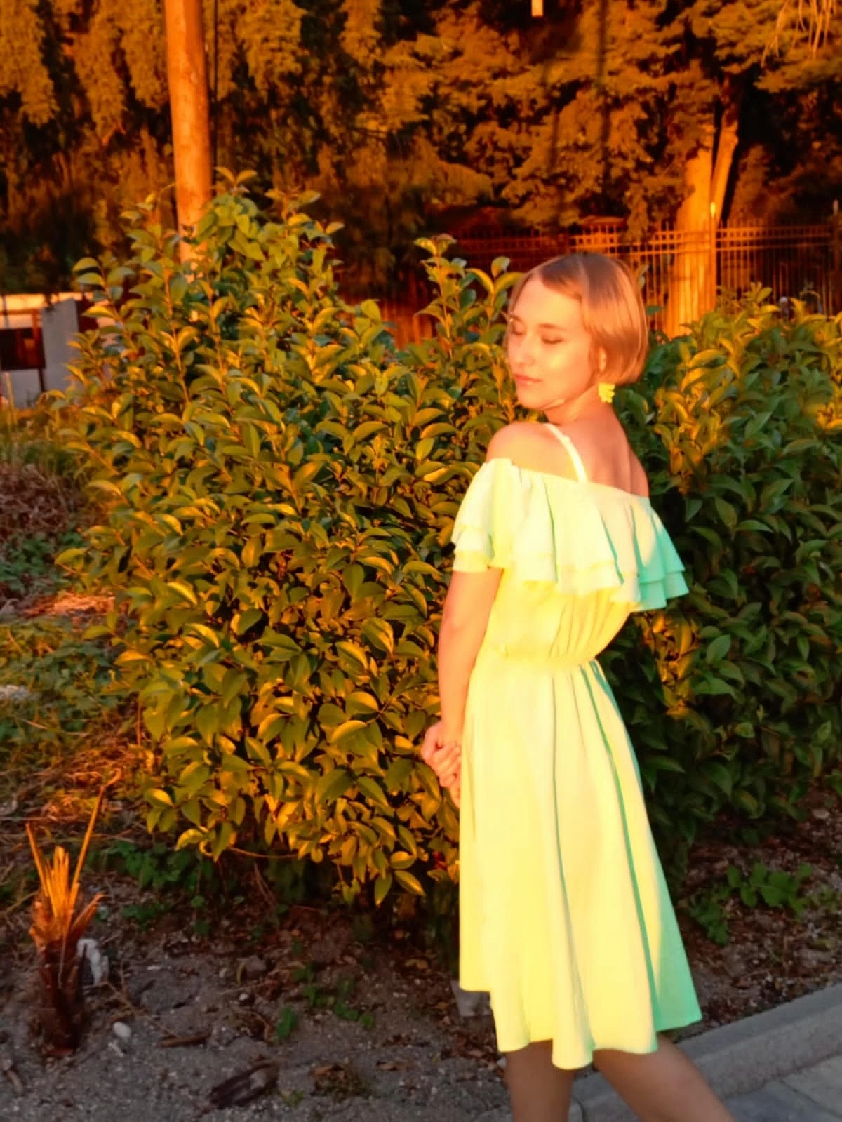Common photo 6