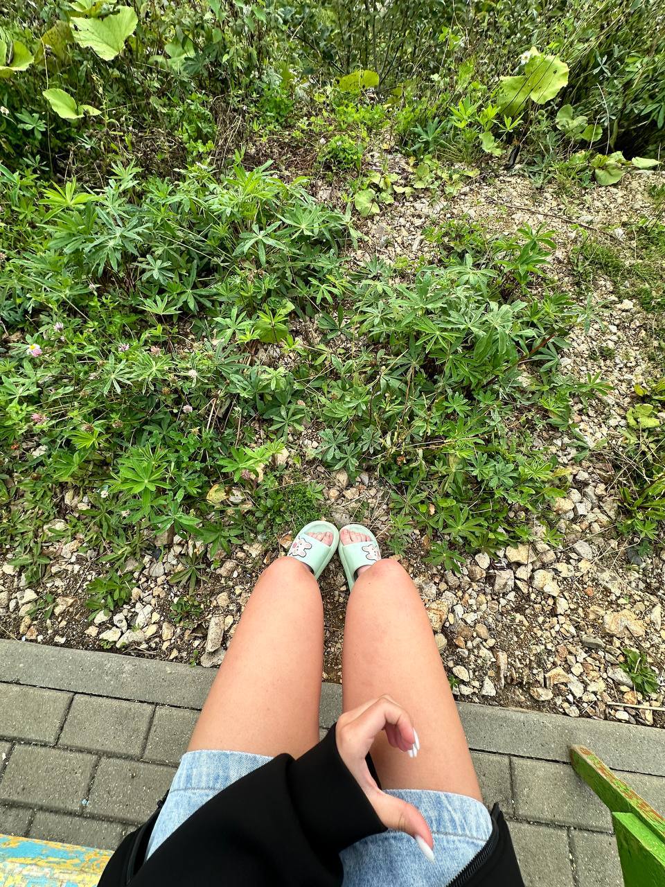 Common photo 18