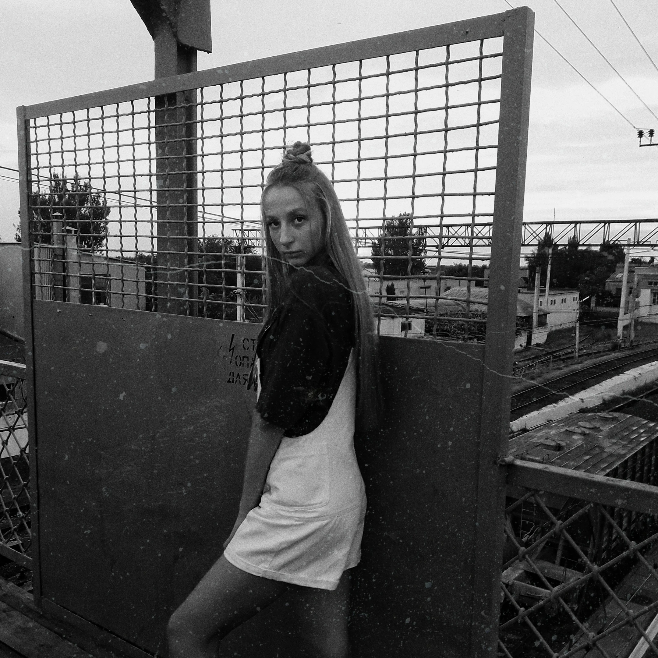 Common photo 2