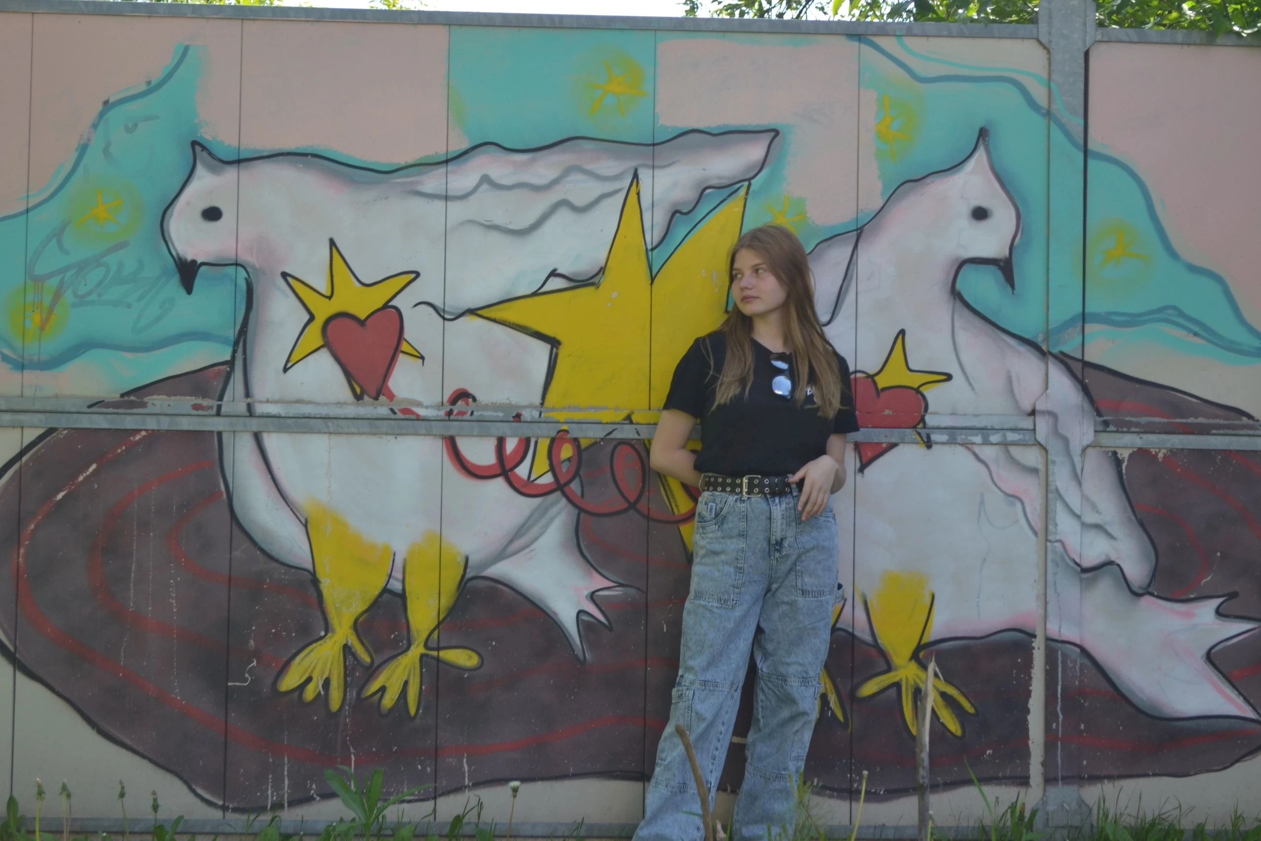 Common photo 27