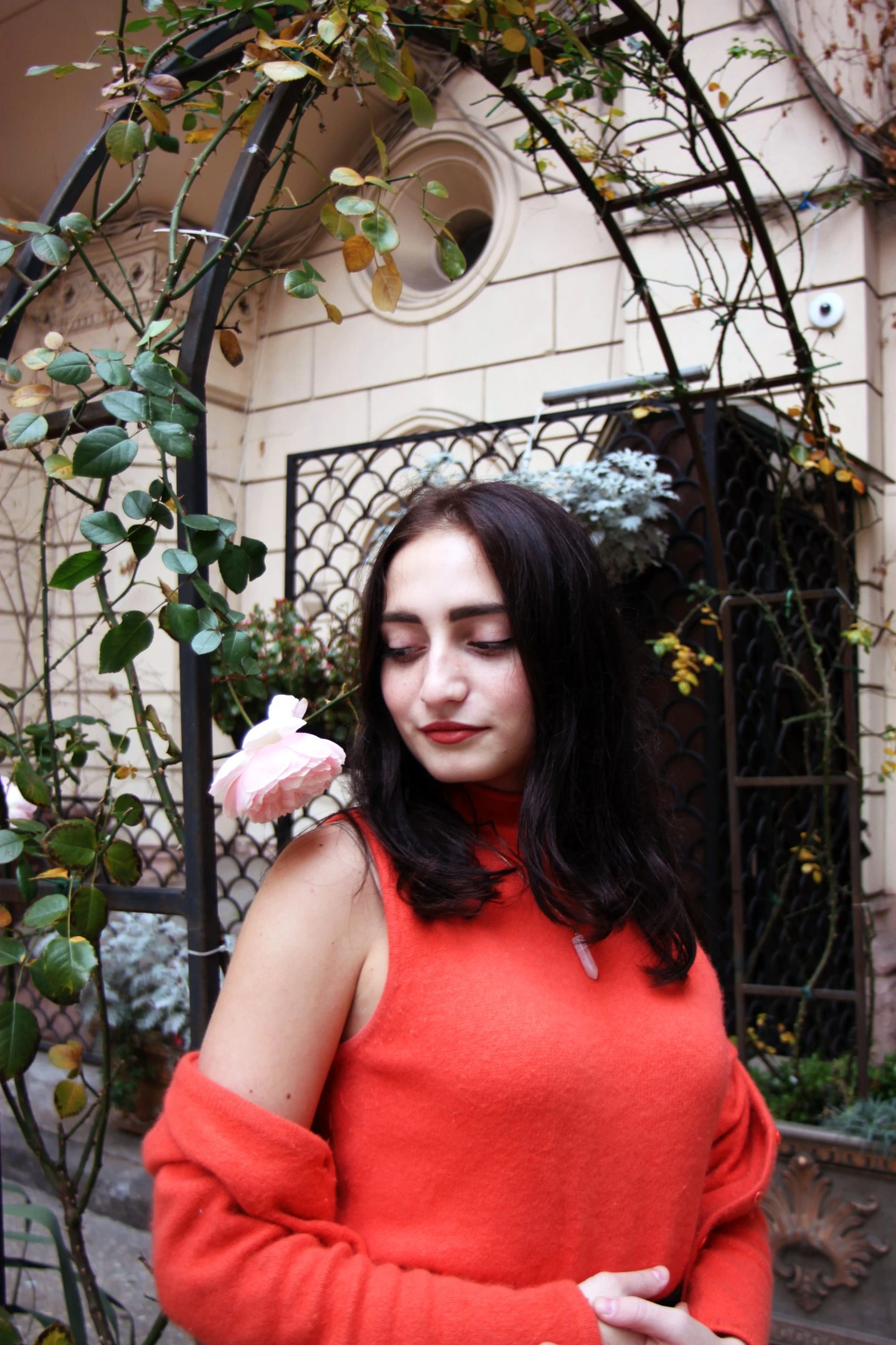 Common photo 22