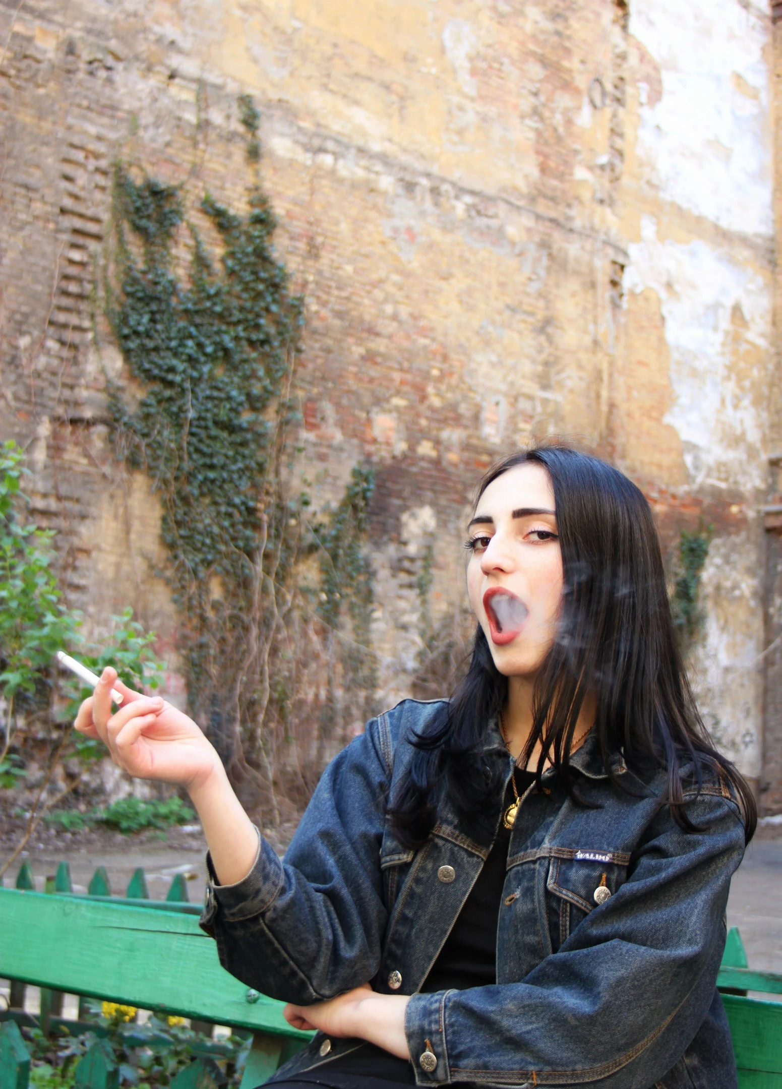 Common photo 3