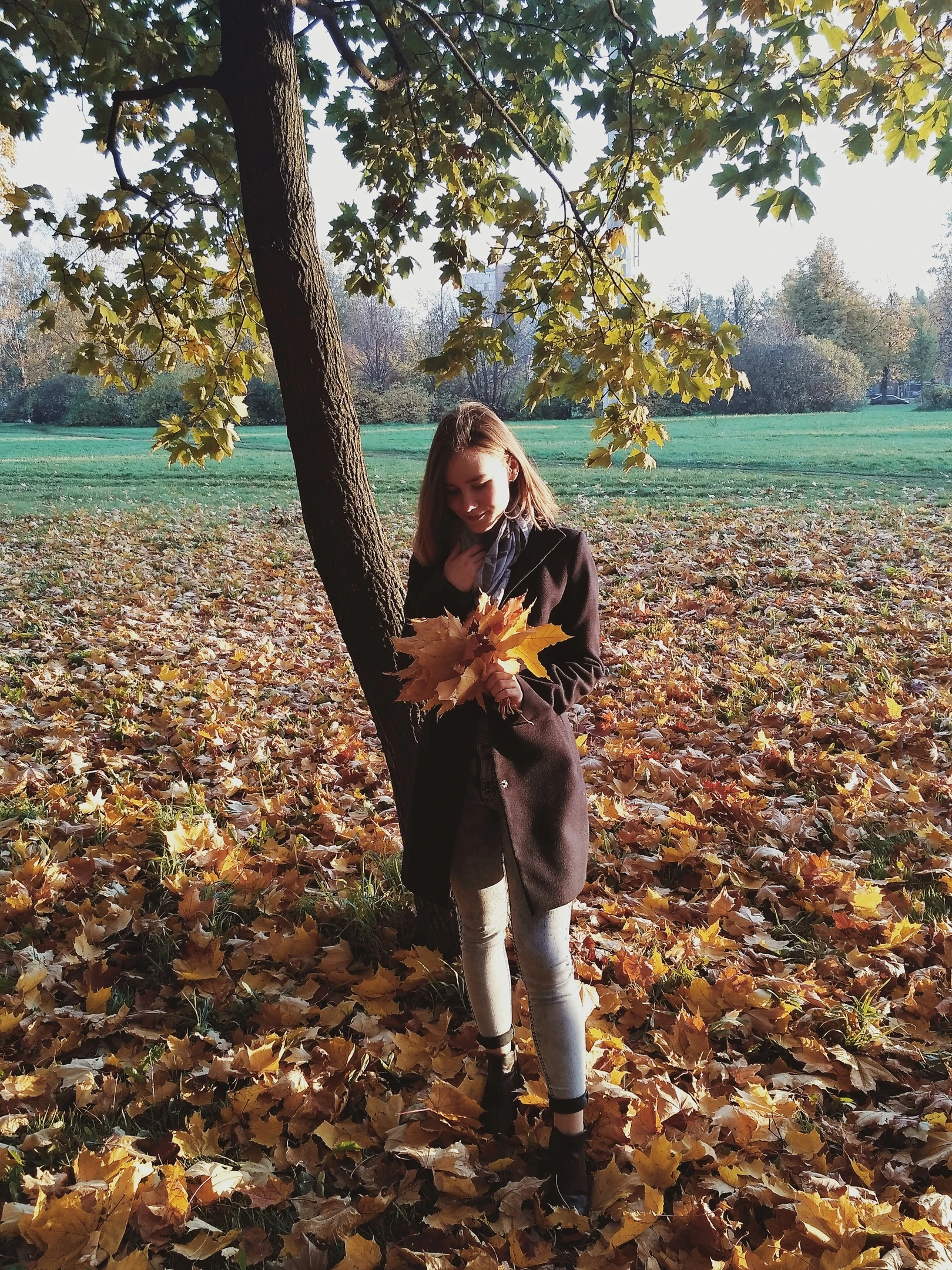 Common photo 34