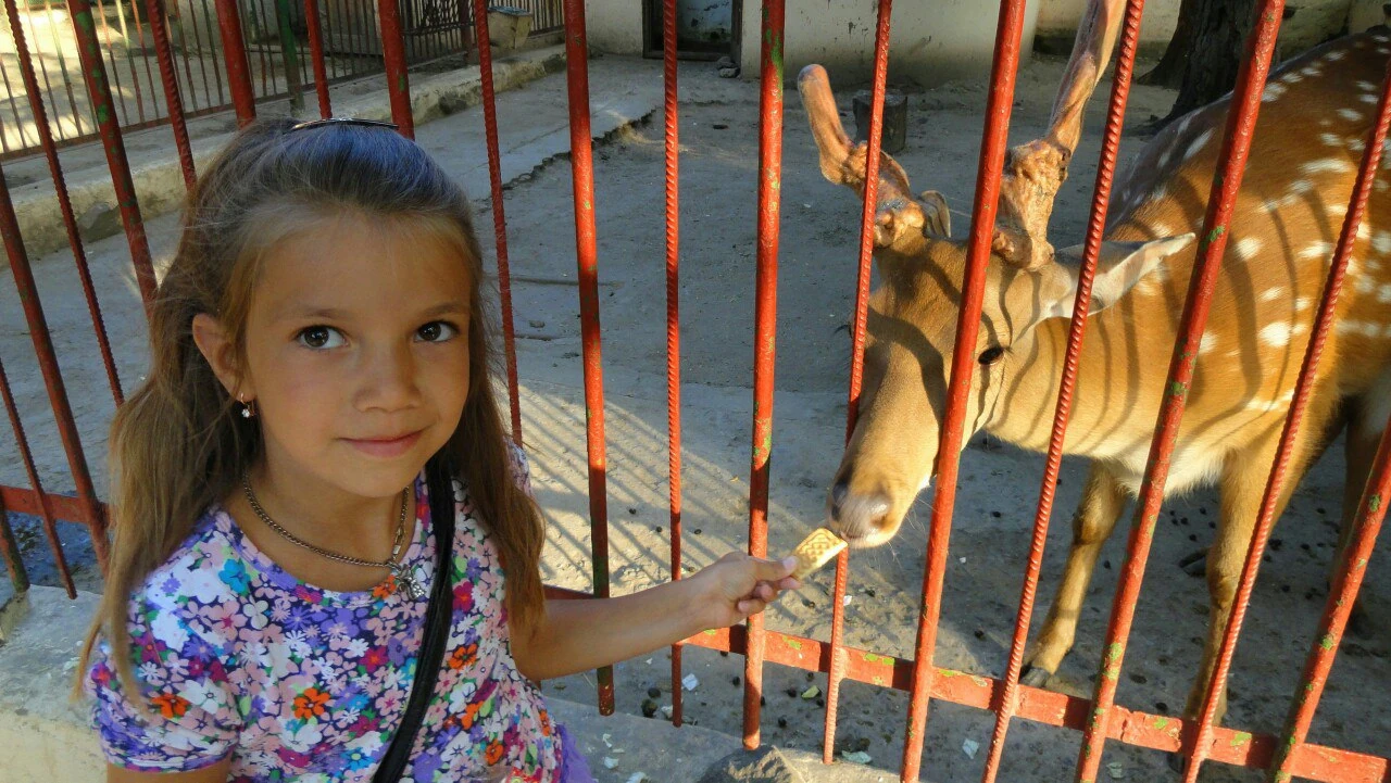 Childhood photo 17