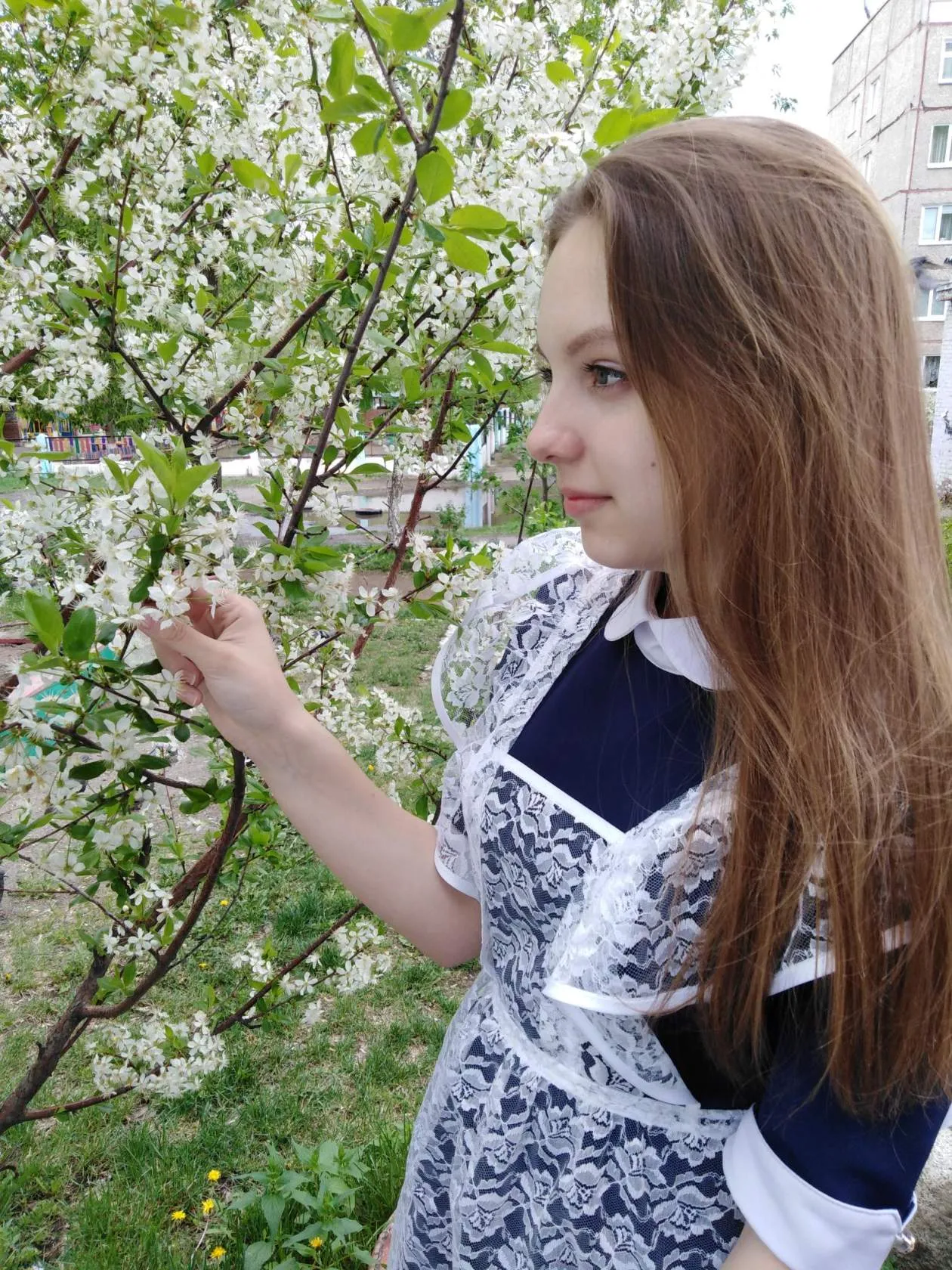 Common photo 3
