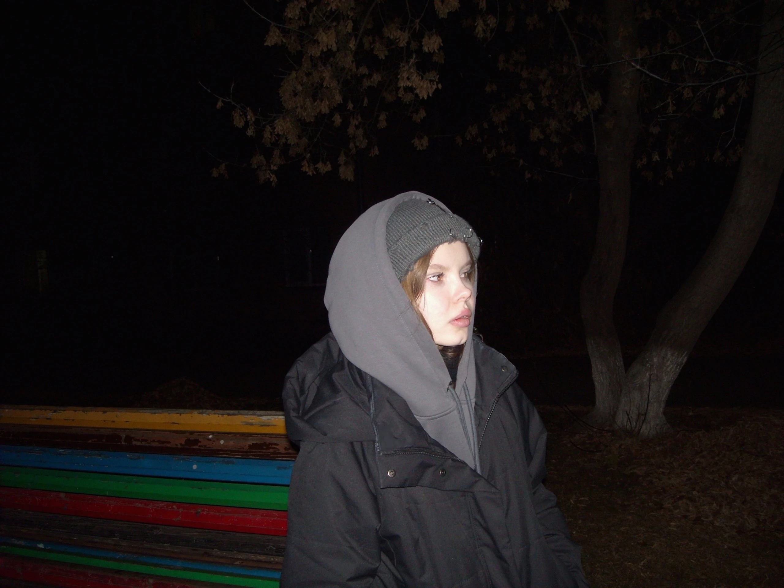 Common photo 8