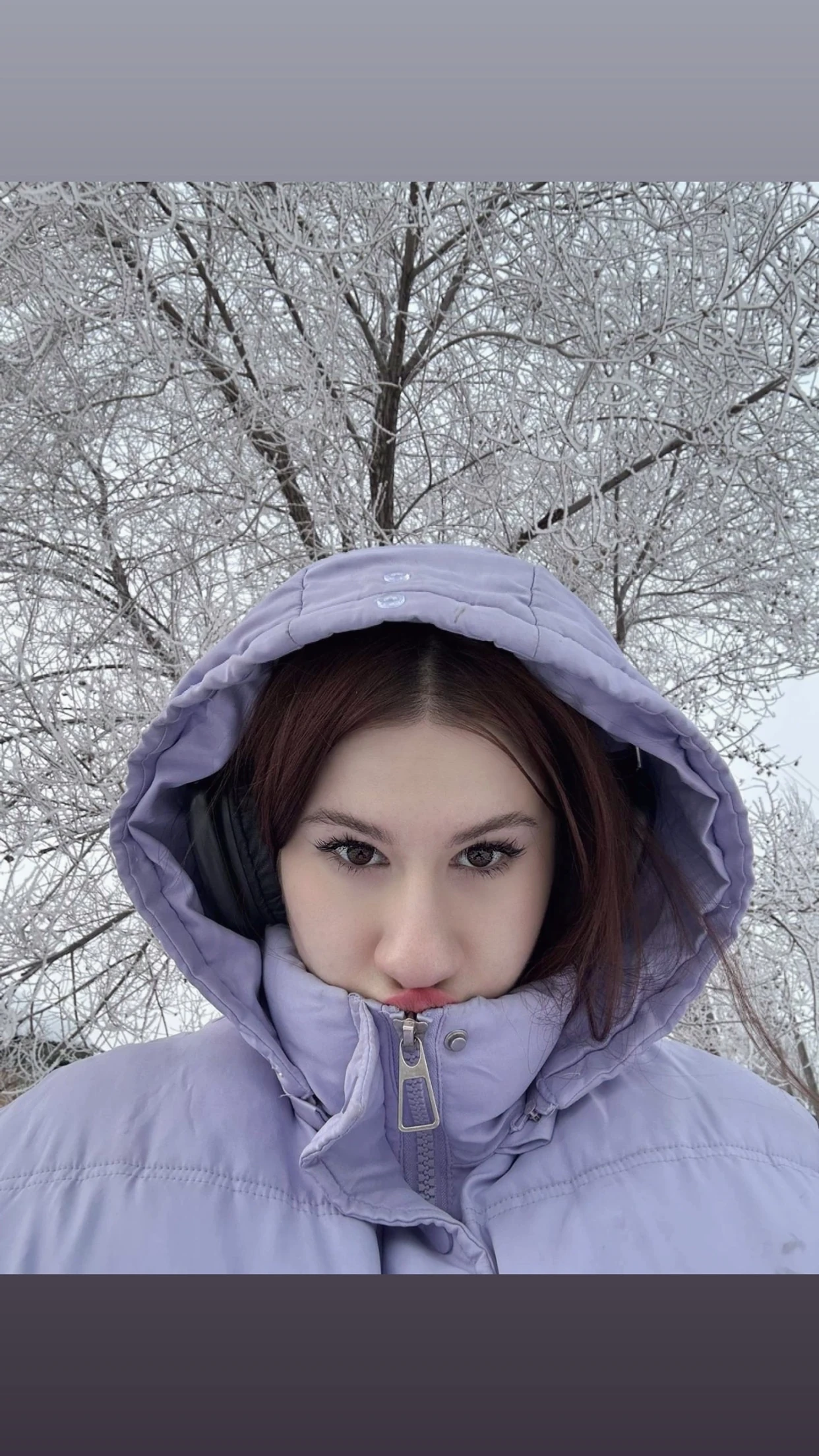Common photo 15